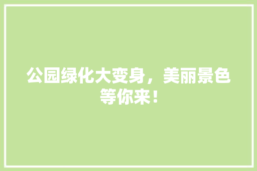 公园绿化大变身，美丽景色等你来！