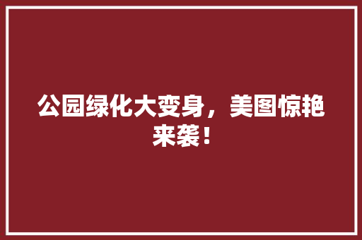 公园绿化大变身，美图惊艳来袭！