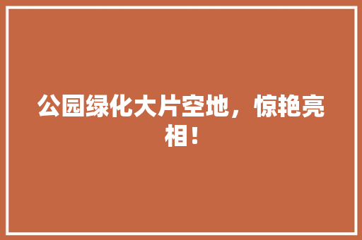 公园绿化大片空地，惊艳亮相！