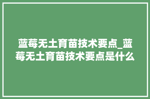 蓝莓无土育苗技术要点_蓝莓无土育苗技术要点是什么