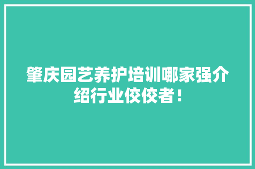 肇庆园艺养护培训哪家强介绍行业佼佼者！ 温室育苗