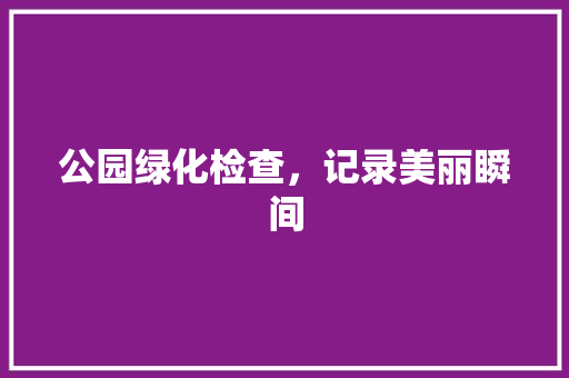 公园绿化检查，记录美丽瞬间