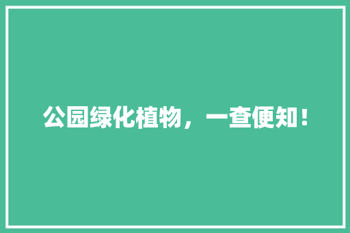 公园绿化植物，一查便知！