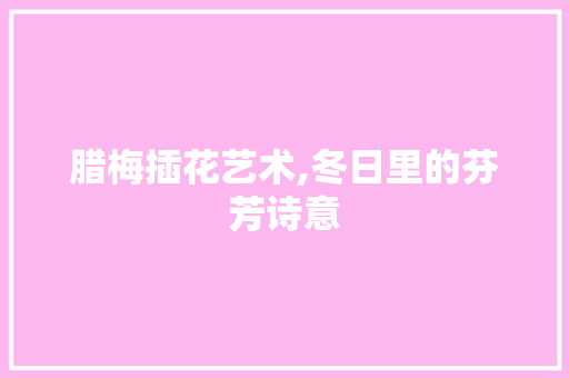 腊梅插花艺术,冬日里的芬芳诗意
