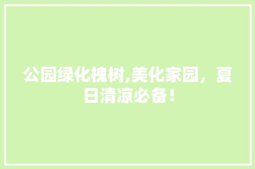 公园绿化槐树,美化家园，夏日清凉必备！ 温室育苗
