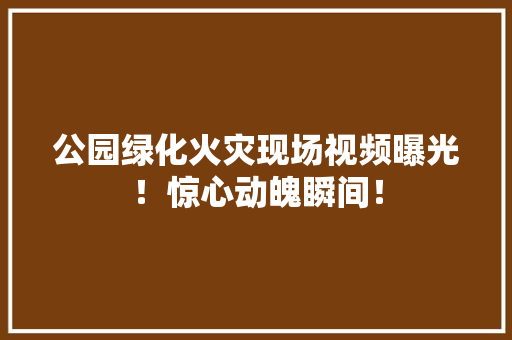 公园绿化火灾现场视频曝光！惊心动魄瞬间！