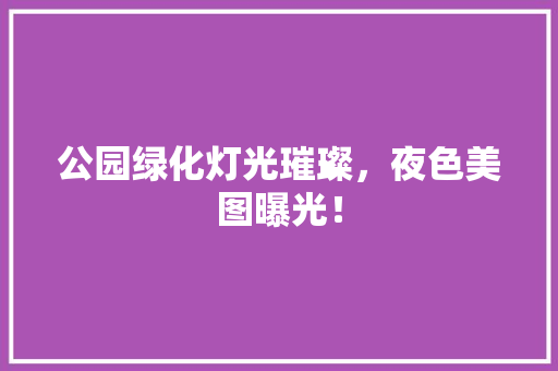 公园绿化灯光璀璨，夜色美图曝光！