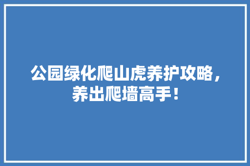 公园绿化爬山虎养护攻略，养出爬墙高手！