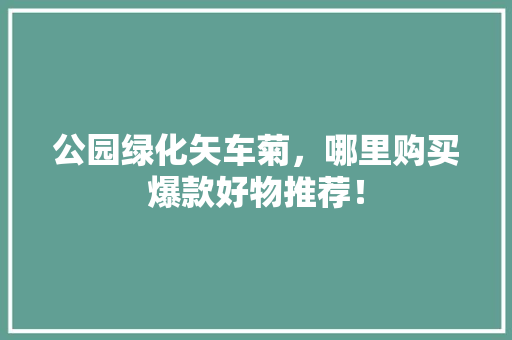 公园绿化矢车菊，哪里购买爆款好物推荐！