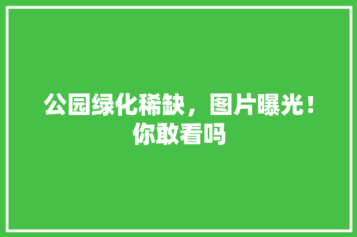 公园绿化稀缺，图片曝光！你敢看吗