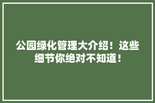 公园绿化管理大介绍！这些细节你绝对不知道！
