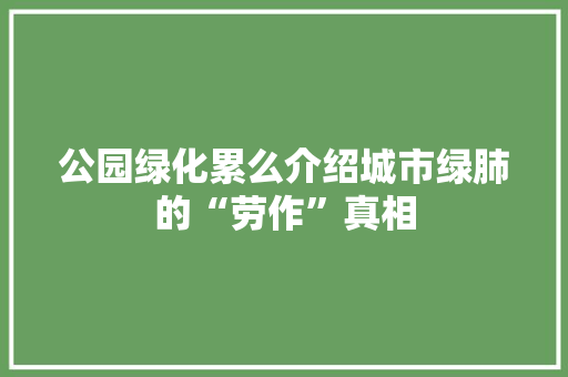 公园绿化累么介绍城市绿肺的“劳作”真相