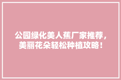 公园绿化美人蕉厂家推荐，美丽花朵轻松种植攻略！