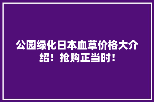 公园绿化日本血草价格大介绍！抢购正当时！
