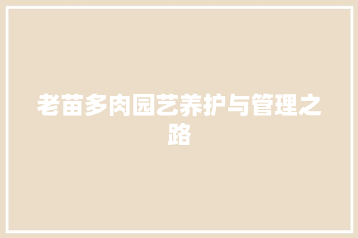 老苗多肉园艺养护与管理之路