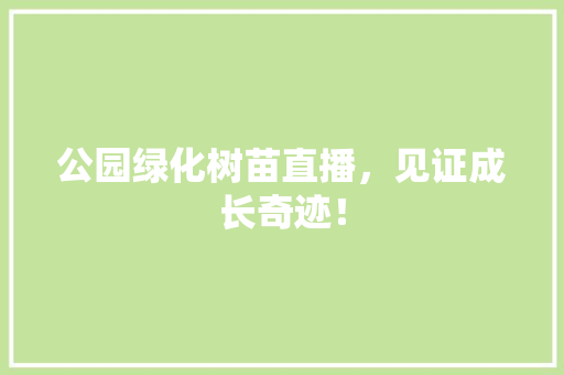 公园绿化树苗直播，见证成长奇迹！