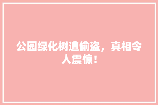 公园绿化树遭偷盗，真相令人震惊！