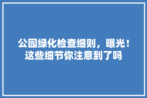 公园绿化检查细则，曝光！这些细节你注意到了吗