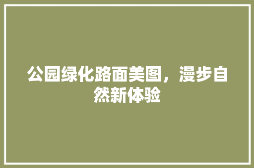 公园绿化路面美图，漫步自然新体验