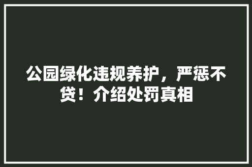 公园绿化违规养护，严惩不贷！介绍处罚真相