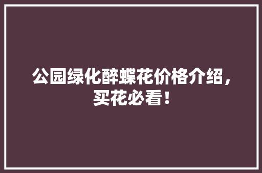 公园绿化醉蝶花价格介绍，买花必看！