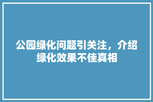 公园绿化问题引关注，介绍绿化效果不佳真相