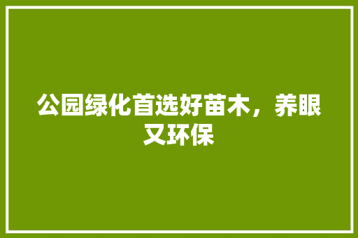 公园绿化首选好苗木，养眼又环保