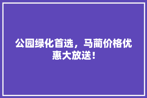 公园绿化首选，马蔺价格优惠大放送！