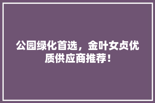 公园绿化首选，金叶女贞优质供应商推荐！