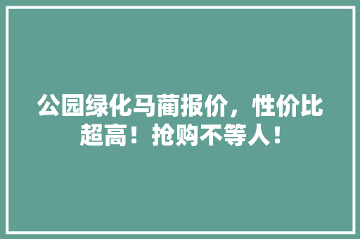 公园绿化马蔺报价，性价比超高！抢购不等人！