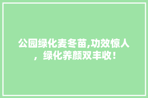 公园绿化麦冬苗,功效惊人，绿化养颜双丰收！
