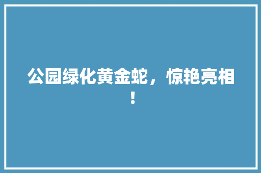 公园绿化黄金蛇，惊艳亮相！