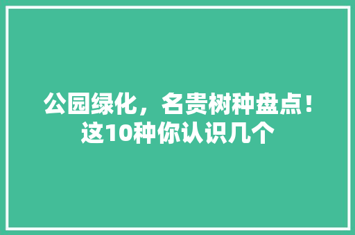 公园绿化，名贵树种盘点！这10种你认识几个