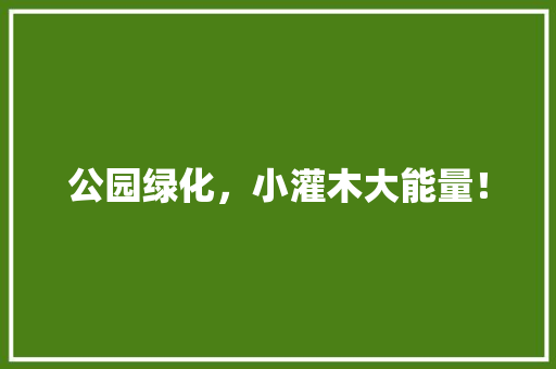 公园绿化，小灌木大能量！