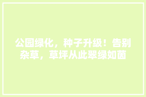 公园绿化，种子升级！告别杂草，草坪从此翠绿如茵