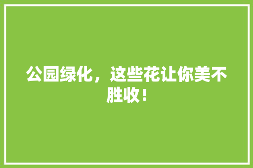 公园绿化，这些花让你美不胜收！