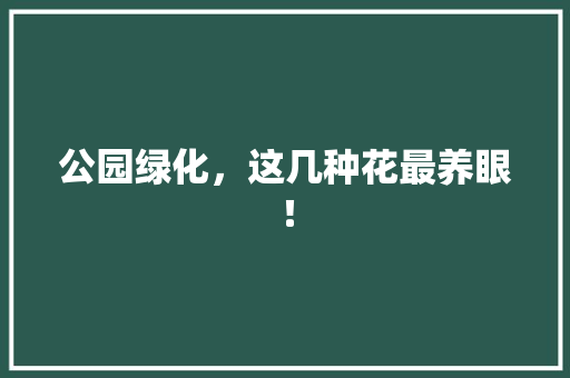 公园绿化，这几种花最养眼！
