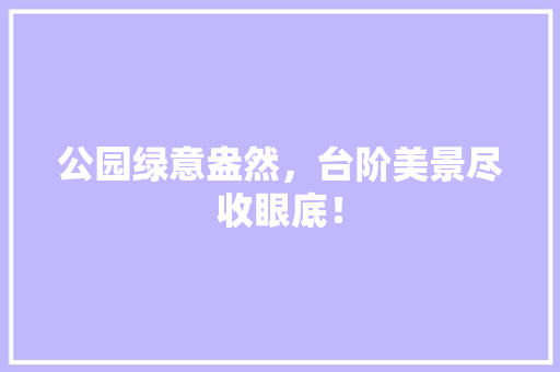 公园绿意盎然，台阶美景尽收眼底！