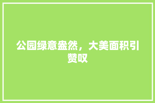 公园绿意盎然，大美面积引赞叹