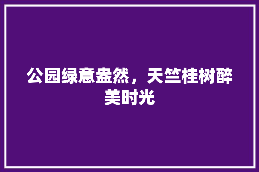 公园绿意盎然，天竺桂树醉美时光