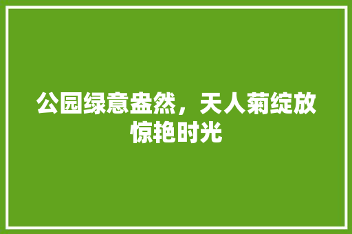 公园绿意盎然，天人菊绽放惊艳时光