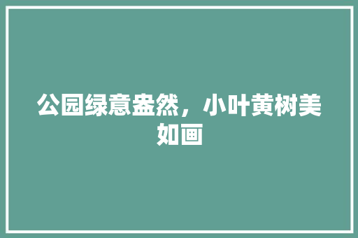 公园绿意盎然，小叶黄树美如画