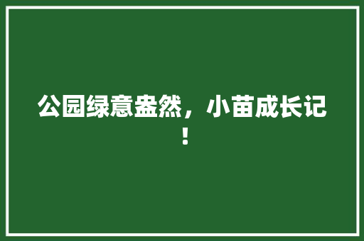公园绿意盎然，小苗成长记！