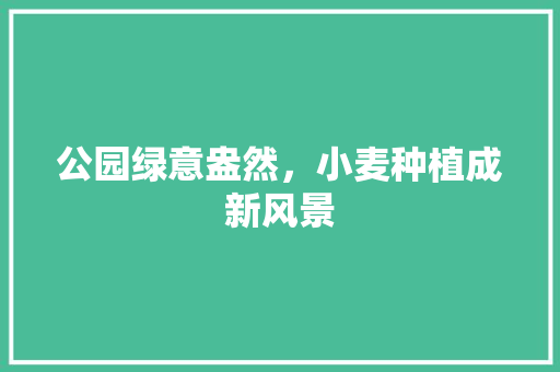 公园绿意盎然，小麦种植成新风景