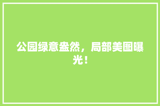 公园绿意盎然，局部美图曝光！