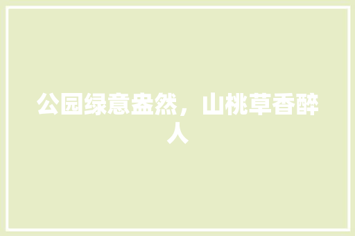 公园绿意盎然，山桃草香醉人
