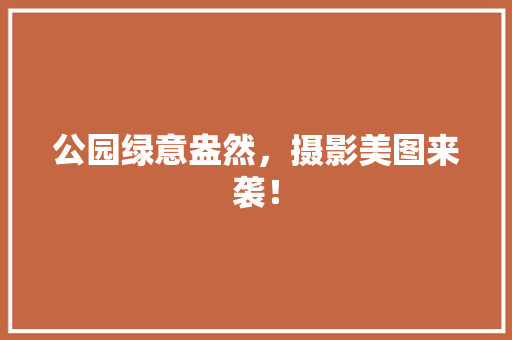 公园绿意盎然，摄影美图来袭！