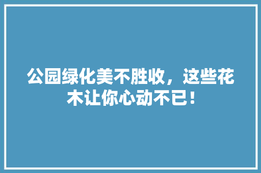 公园绿化美不胜收，这些花木让你心动不已！