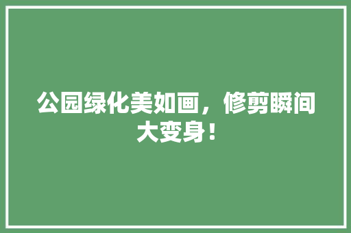 公园绿化美如画，修剪瞬间大变身！