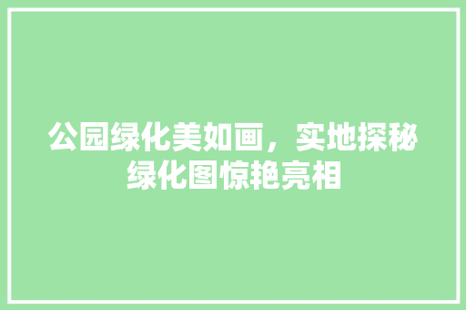 公园绿化美如画，实地探秘绿化图惊艳亮相